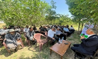  روز مزرعه استانی سرشاخه‌کاری گردو در جنوب کرمان برگزار شد